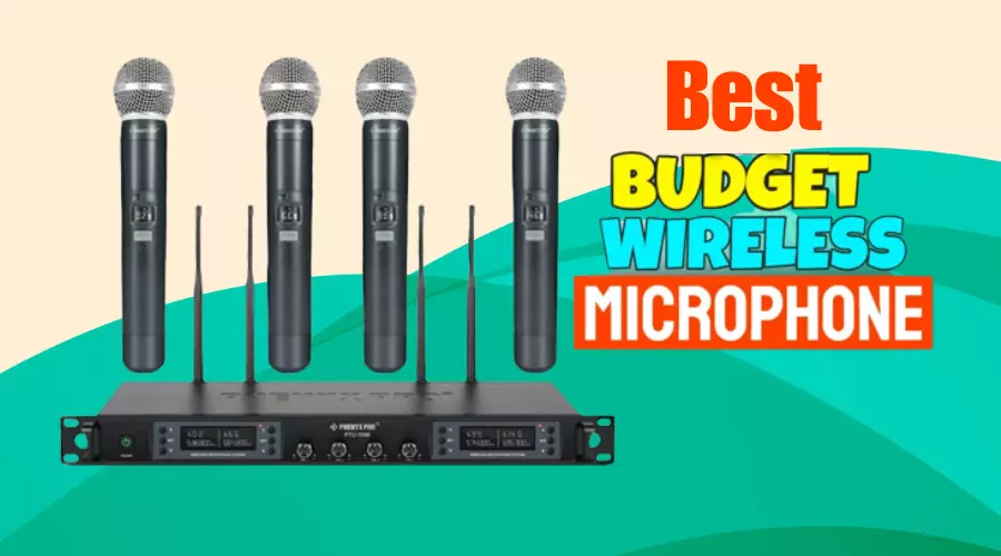 Best Budget Wireless Handheld Microphone
