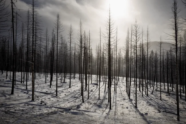 Sean Bagshaw Photography