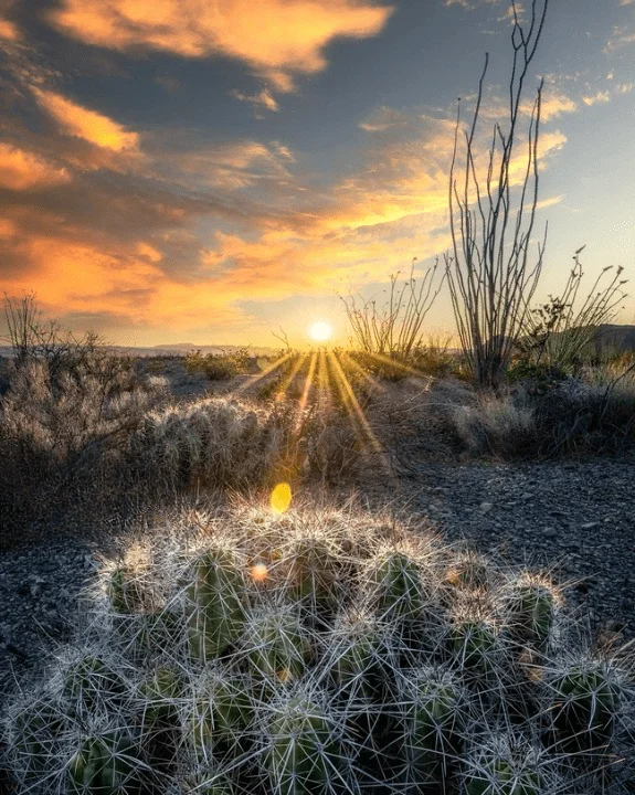 Mandy Lea, Landscape Photographers