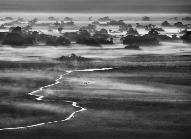 Sebastião Salgado