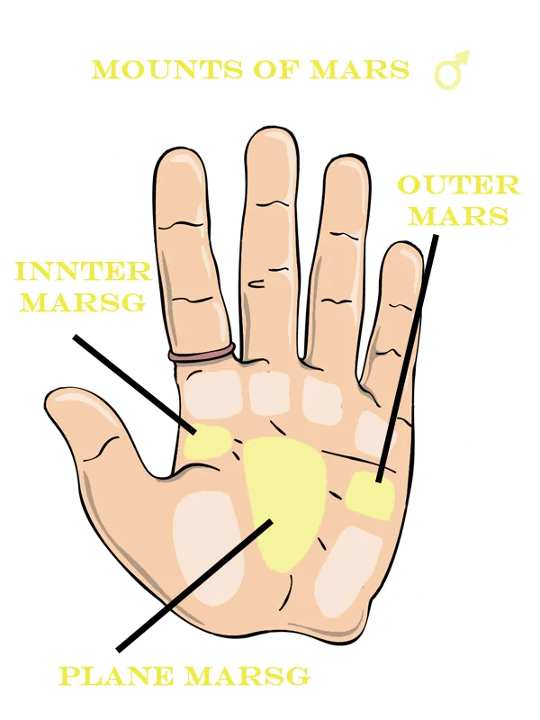 Mount of Mars, Palm Reading, Wikilearns