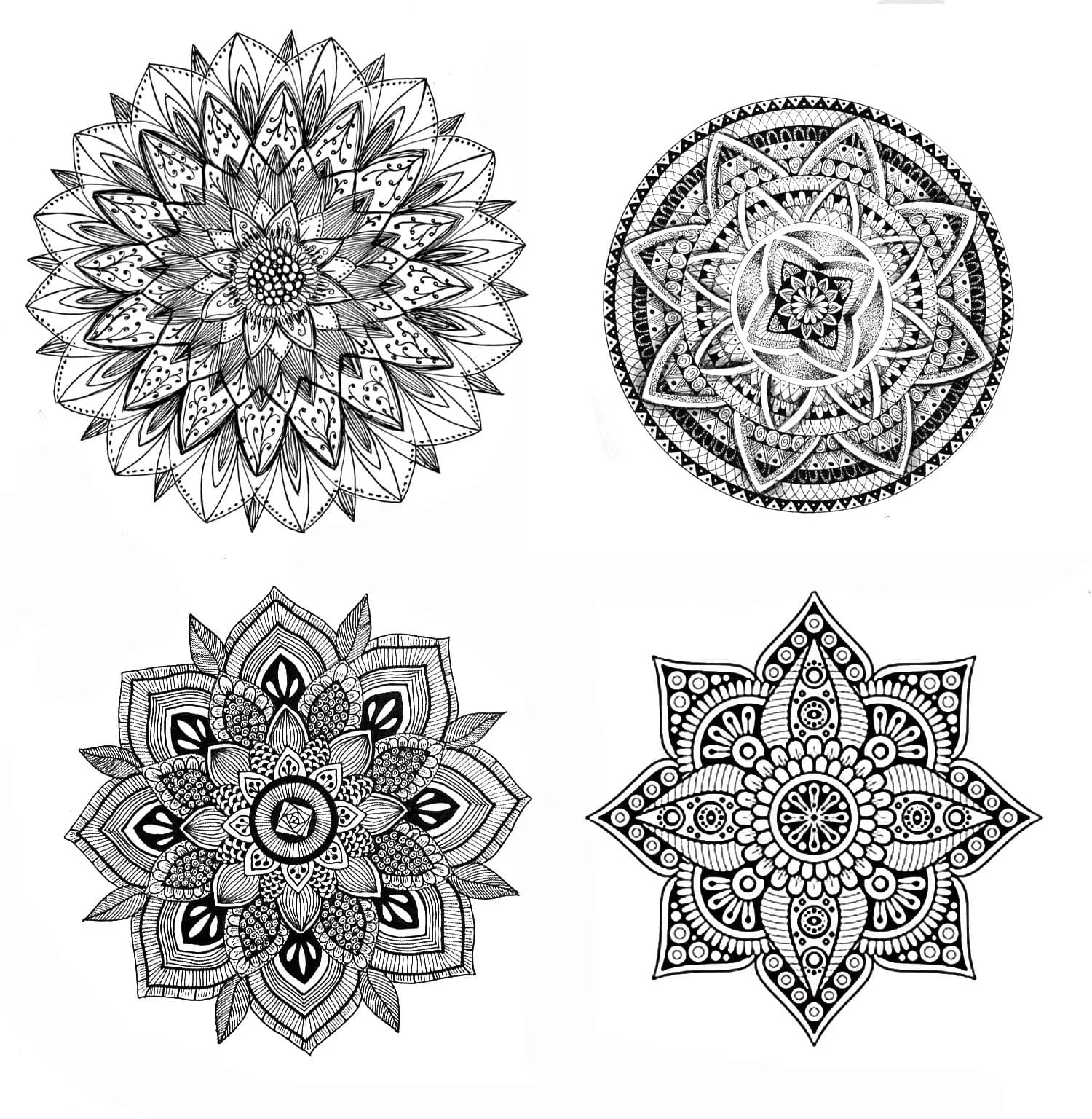 Draw A Botanical Mandala