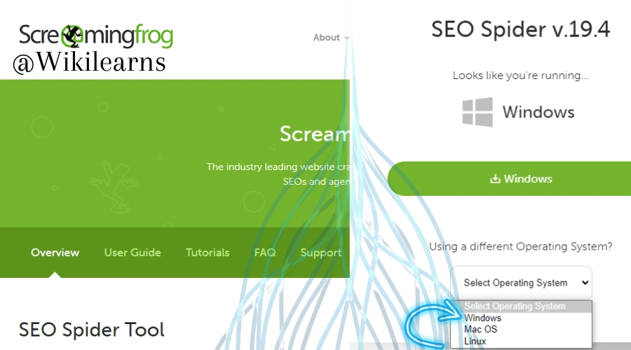 Redirect Chain by Screaming Frog, Redirect Chain