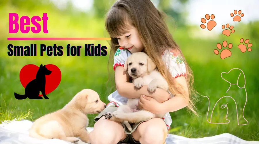 12 Best Small Pets for Kids that They will Love  