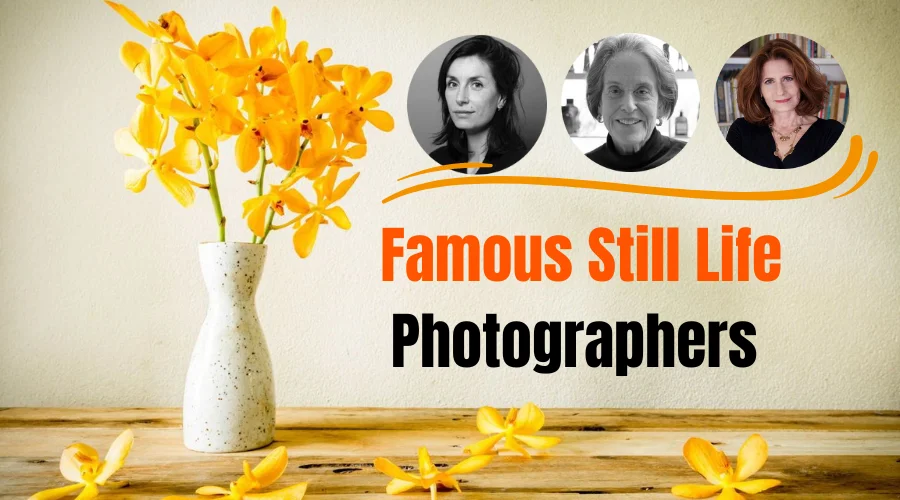 Famous Still Life Photographers & Their Works in 2024