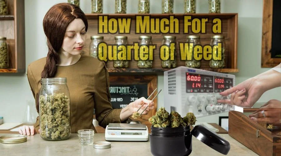 How Much for a Quarter of Weed? - WikiLearns