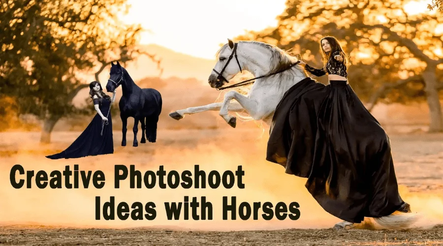 Photoshoot Ideas with Horses, Horse Photography, Wiki Learns